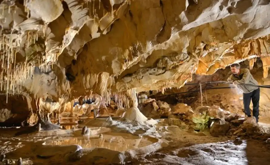 salta la coda biglietto d'ingresso oscuro alla grotte de baume